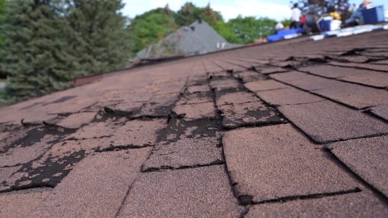 Best Roof Ventilation Installation  in Texas City, TX