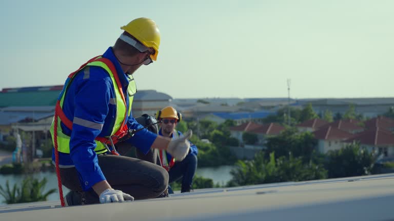 Best Chimney Flashing Repair  in Texas City, TX