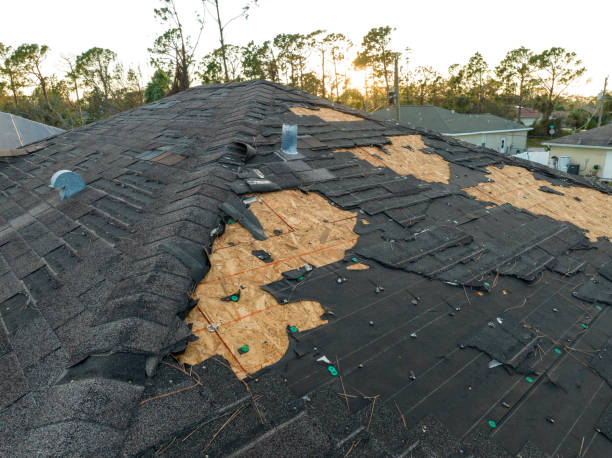 Best Rubber Roofing (EPDM, TPO)  in Texas City, TX