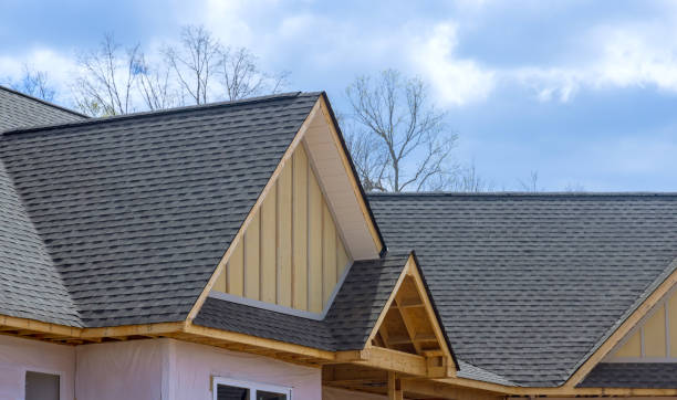 Best Storm Damage Roof Repair  in Texas City, TX